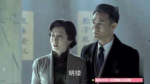伪装者45集在线观看,揭秘兄弟情仇，揭秘神秘组织