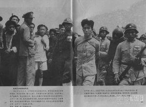 爆料日本战犯视频网站,揭秘日本战犯视频网站背后的秘密