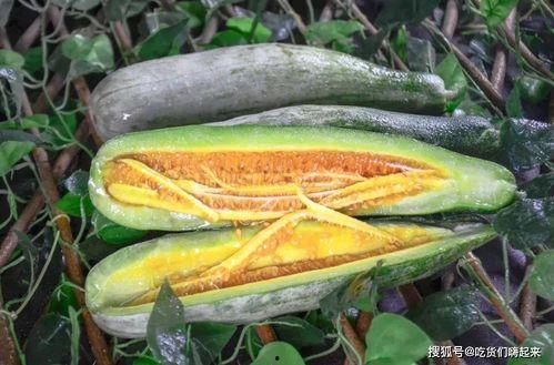 网红宏上头吃瓜,揭秘娱乐圈幕后真相