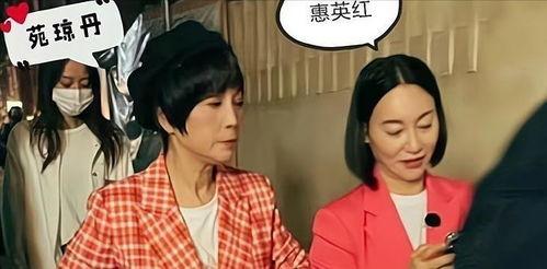 港星搞笑爆料大全视频下载