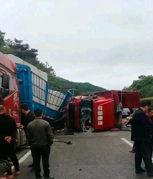 桂林高速爆料事件最新情况,真相大白，多方调查结果揭晓