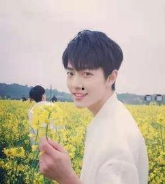 造型师爆料杨紫肖战视频,幕后造型幕后故事