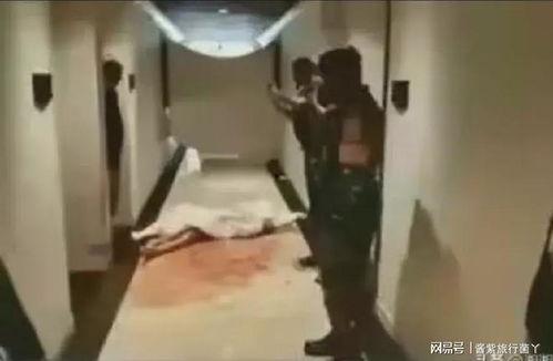 巴厘岛被害事件爆料视频,惊心动魄的真相揭露