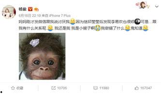 杨紫微博爆料事件最新情况,真相揭晓，各方反应激烈