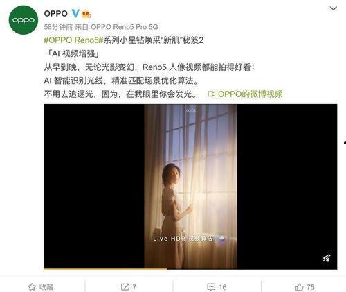 网曝爆料视频大全最新,揭秘网络热点事件背后的真相