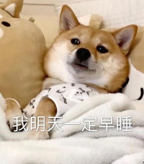 八卦爆料合集视频