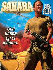 血战撒哈拉 在线观看,沙漠烽火，铁血征途