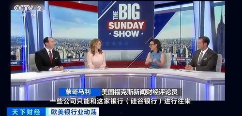 硅谷银行最新爆料新闻,揭秘巨额资金去向与潜在风险