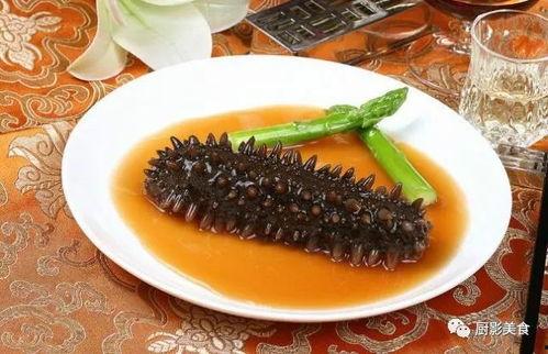 海参最新爆料视频,揭秘海洋珍品背后的秘密与价值